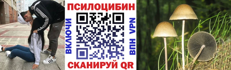 Галлюциногенные грибы Psilocybine cubensis  Гаврилов-Ям 